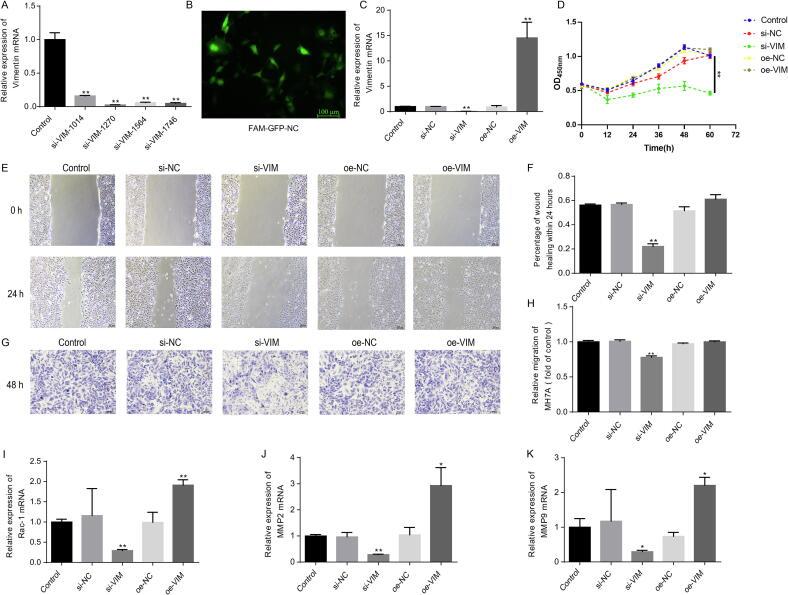 https://cdn.ncbi.nlm.nih.gov/pmc/blobs/fafa/12302728/160f5a92b2aa/gr5.jpg