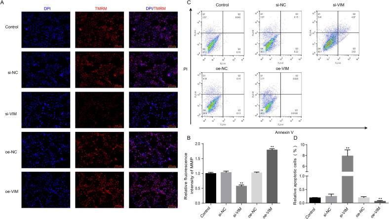 https://cdn.ncbi.nlm.nih.gov/pmc/blobs/fafa/12302728/c5cfdc054488/gr6.jpg