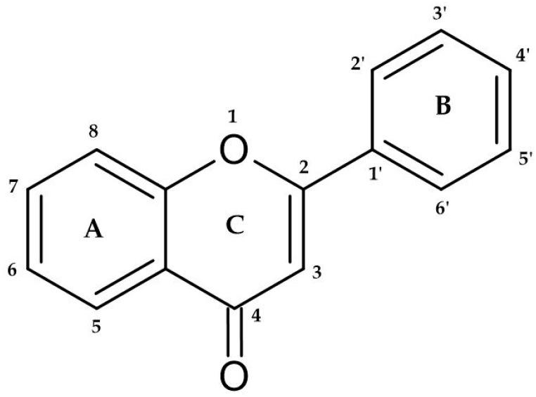 https://cdn.ncbi.nlm.nih.gov/pmc/blobs/fafc/10706129/2c9f023e93a5/foods-12-04277-g001.jpg