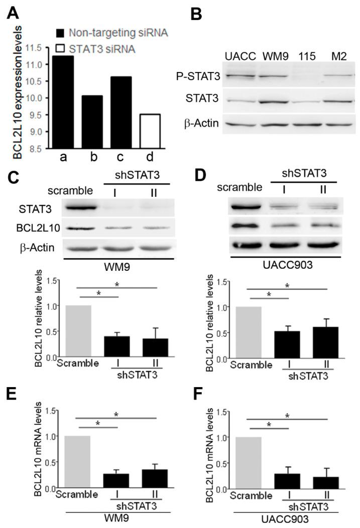https://cdn.ncbi.nlm.nih.gov/pmc/blobs/fafd/7795116/99118a51ca27/cancers-13-00078-g003.jpg