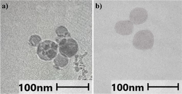 https://cdn.ncbi.nlm.nih.gov/pmc/blobs/fb01/11425831/9fa7a8d7d709/ao4c03541_0003.jpg
