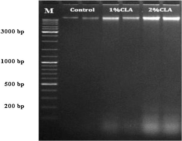 https://cdn.ncbi.nlm.nih.gov/pmc/blobs/fb02/4074849/8ea7fd223e42/1746-6148-10-141-3.jpg