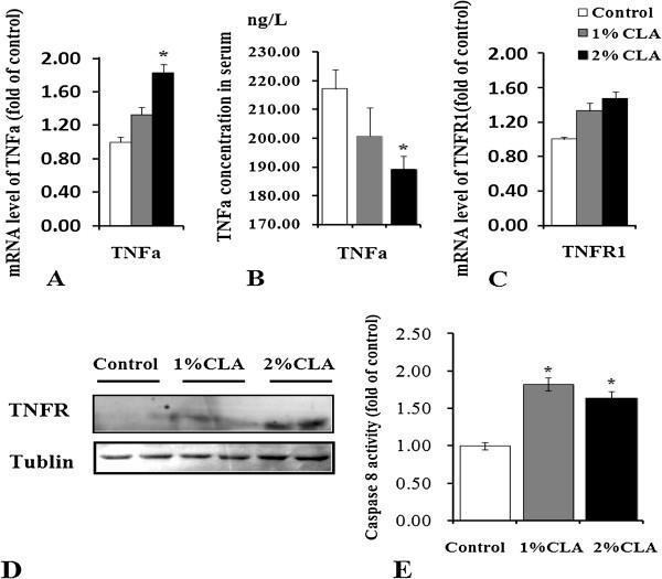 https://cdn.ncbi.nlm.nih.gov/pmc/blobs/fb02/4074849/ae1f77692ac2/1746-6148-10-141-5.jpg