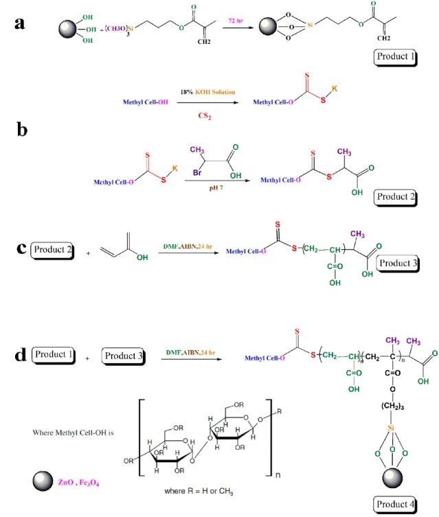 https://cdn.ncbi.nlm.nih.gov/pmc/blobs/fb04/6468221/9d143deb73f2/apb-9-122-g001.jpg