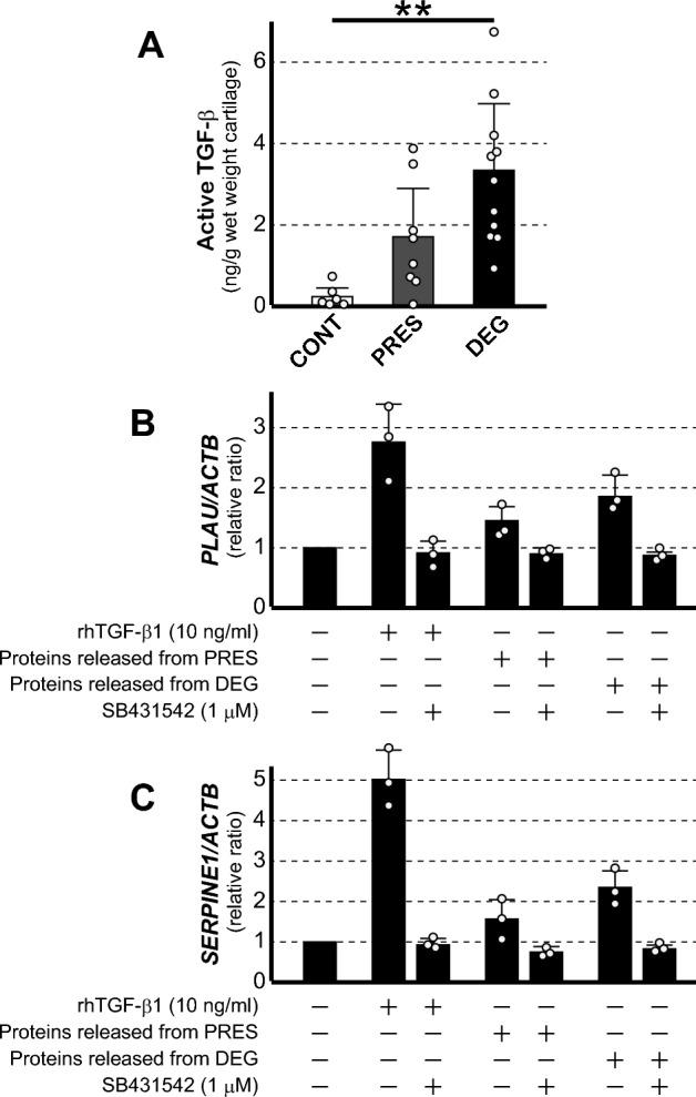 https://cdn.ncbi.nlm.nih.gov/pmc/blobs/fb07/10600228/31104eb96424/41598_2023_45472_Fig5_HTML.jpg