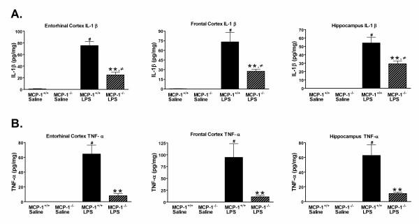 https://cdn.ncbi.nlm.nih.gov/pmc/blobs/fb07/2527558/6b52e84ec008/1742-2094-5-35-3.jpg