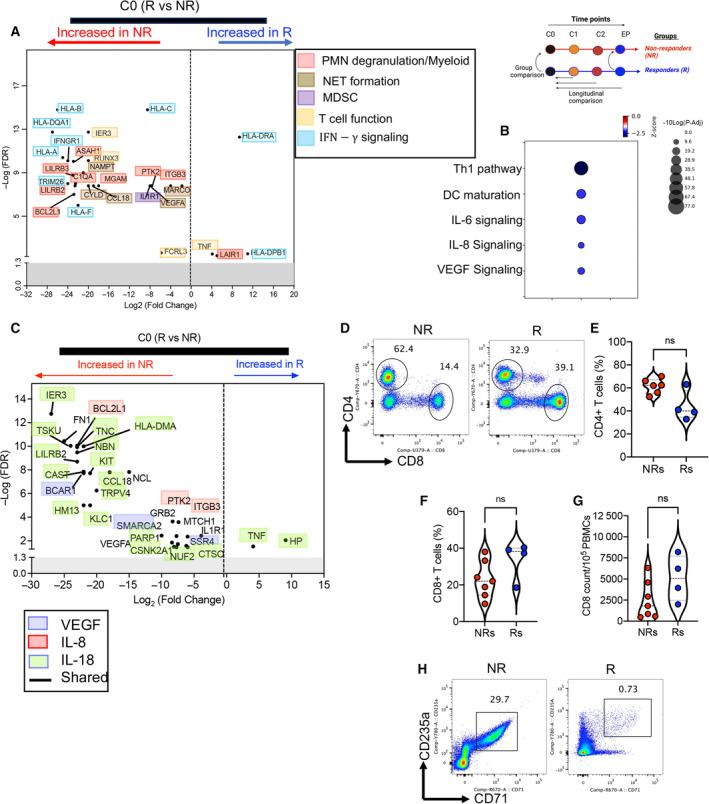 https://cdn.ncbi.nlm.nih.gov/pmc/blobs/fb08/11077001/29b950a8f79b/MOL2-18-1209-g005.jpg