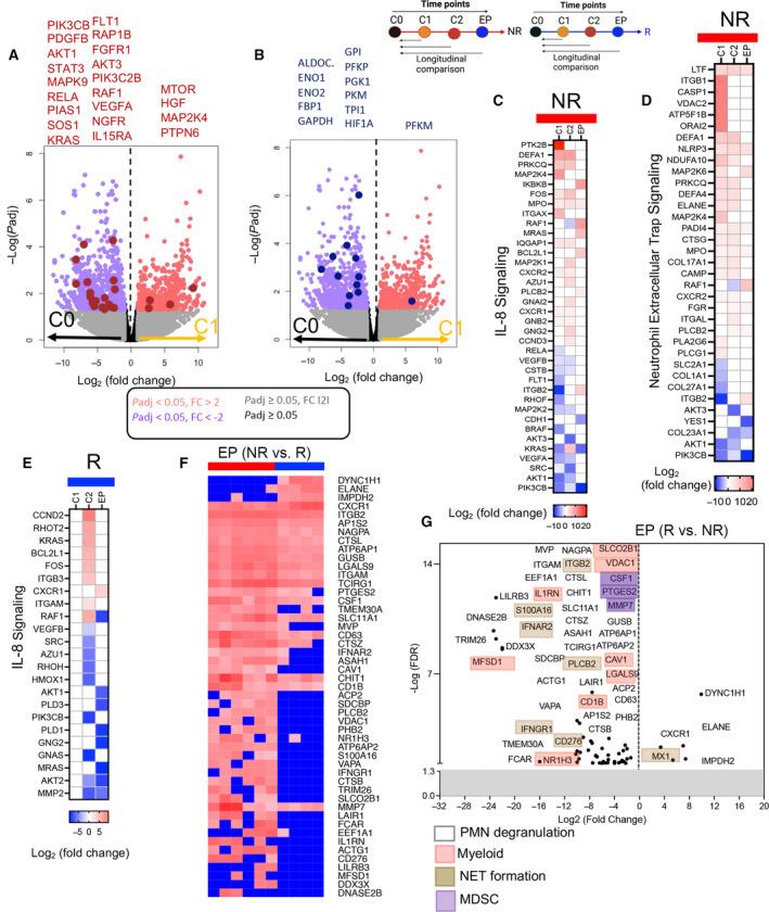 https://cdn.ncbi.nlm.nih.gov/pmc/blobs/fb08/11077001/ce7c8cb3e612/MOL2-18-1209-g002.jpg
