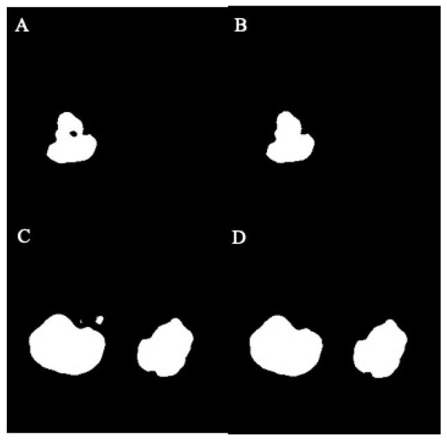 https://cdn.ncbi.nlm.nih.gov/pmc/blobs/fb09/11504157/7fc6e71ccb60/bioengineering-11-00963-g004.jpg