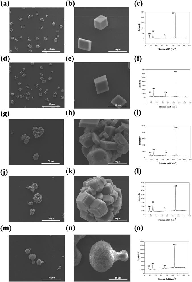 https://cdn.ncbi.nlm.nih.gov/pmc/blobs/fb09/5519542/1d5ba59831d3/41598_2017_6375_Fig6_HTML.jpg
