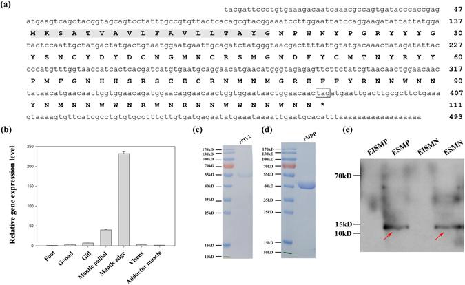 https://cdn.ncbi.nlm.nih.gov/pmc/blobs/fb09/5519542/3864b500a363/41598_2017_6375_Fig1_HTML.jpg