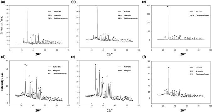 https://cdn.ncbi.nlm.nih.gov/pmc/blobs/fb09/5519542/3c01a9c41e19/41598_2017_6375_Fig11_HTML.jpg