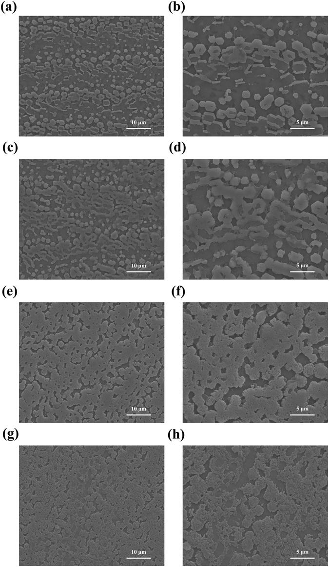 https://cdn.ncbi.nlm.nih.gov/pmc/blobs/fb09/5519542/7d4b8686cf99/41598_2017_6375_Fig4_HTML.jpg
