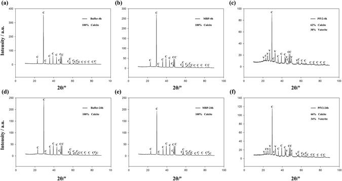 https://cdn.ncbi.nlm.nih.gov/pmc/blobs/fb09/5519542/8c411cde8f33/41598_2017_6375_Fig10_HTML.jpg
