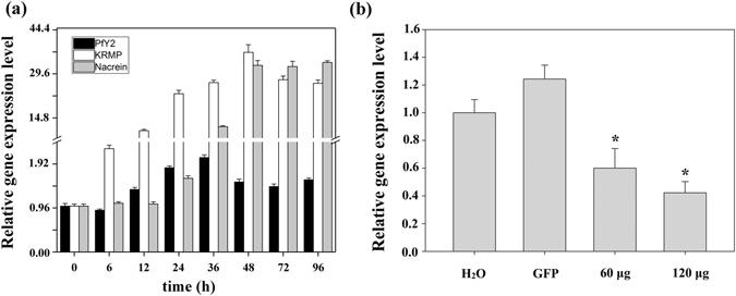https://cdn.ncbi.nlm.nih.gov/pmc/blobs/fb09/5519542/a8e7ffad1917/41598_2017_6375_Fig2_HTML.jpg