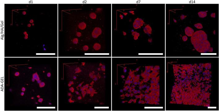 https://cdn.ncbi.nlm.nih.gov/pmc/blobs/fb0f/11153560/8b5d95214fec/41598_2024_63642_Fig4_HTML.jpg