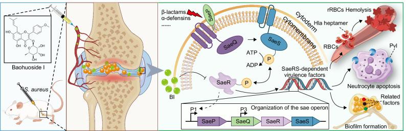 https://cdn.ncbi.nlm.nih.gov/pmc/blobs/fb0f/11920273/cfa7371b8568/41522_2025_681_Fig8_HTML.jpg