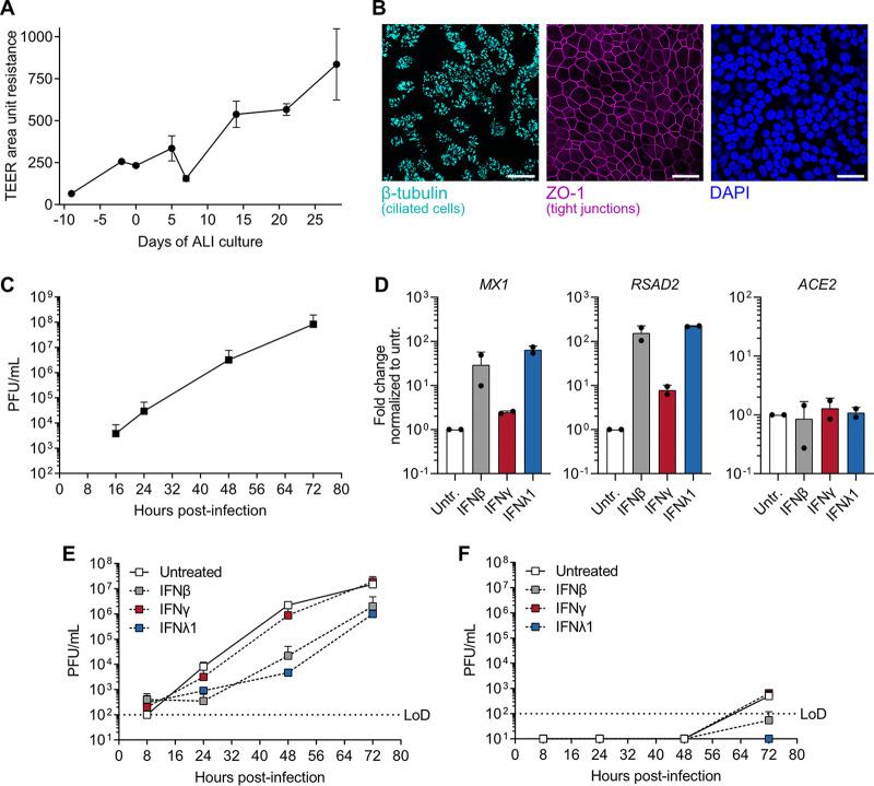 https://cdn.ncbi.nlm.nih.gov/pmc/blobs/fb12/7484541/e81580e0e5c0/mBio.01928-20-f0001.jpg