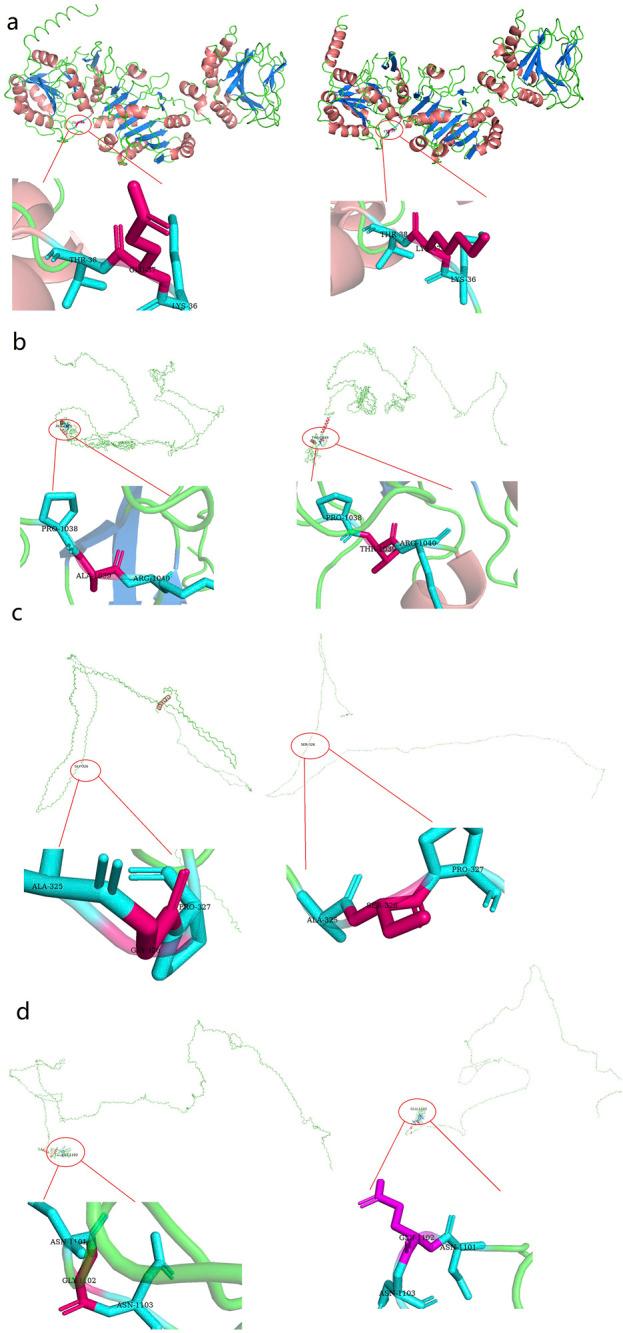 https://cdn.ncbi.nlm.nih.gov/pmc/blobs/fb13/11975878/d970cb4a9f95/fgene-16-1497915-g004.jpg