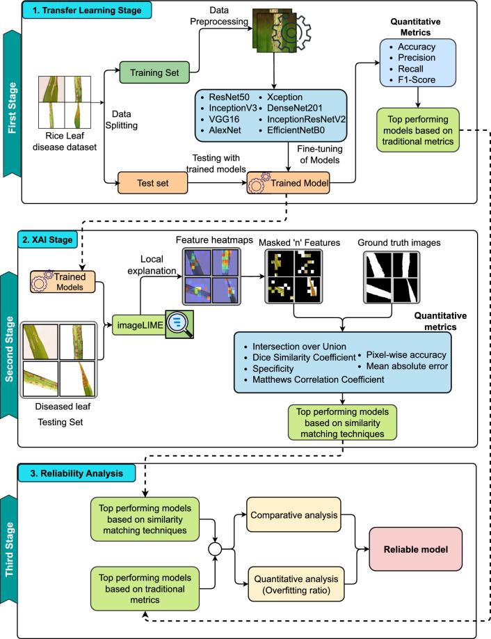 https://cdn.ncbi.nlm.nih.gov/pmc/blobs/fb14/12397440/8edeb0fe2994/41598_2025_14306_Fig1_HTML.jpg