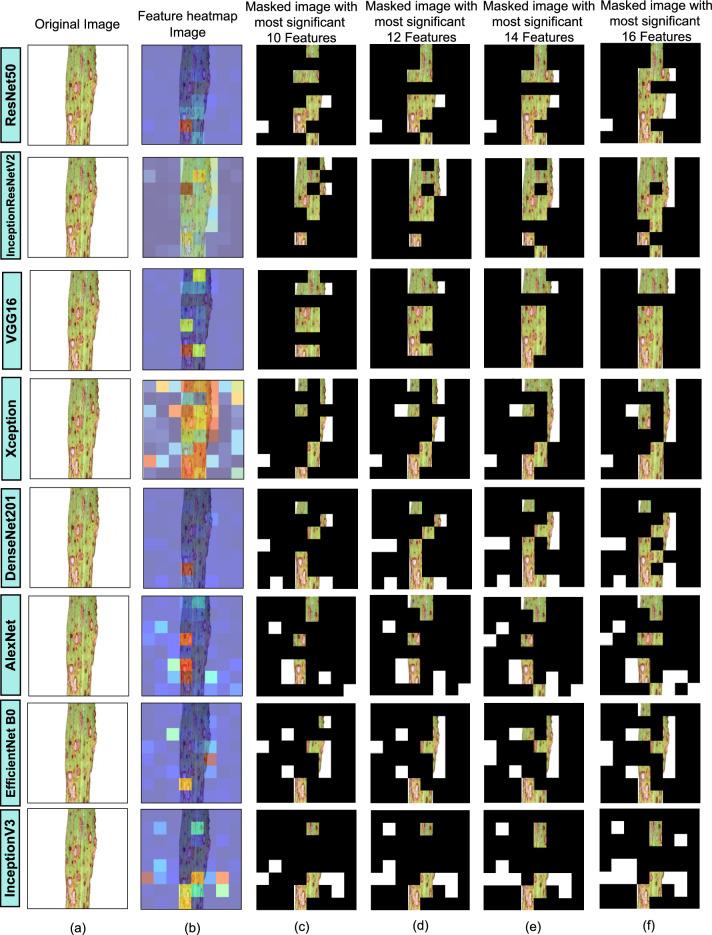 https://cdn.ncbi.nlm.nih.gov/pmc/blobs/fb14/12397440/c819ff260c8b/41598_2025_14306_Fig8_HTML.jpg