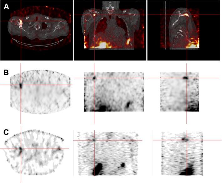 https://cdn.ncbi.nlm.nih.gov/pmc/blobs/fb14/7078403/e21acdd1912d/40658_2020_284_Fig6_HTML.jpg
