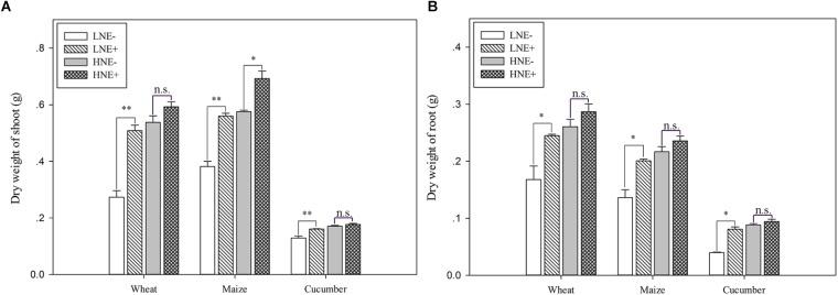 https://cdn.ncbi.nlm.nih.gov/pmc/blobs/fb15/6548809/2e44cb0da151/fmicb-10-01119-g005.jpg