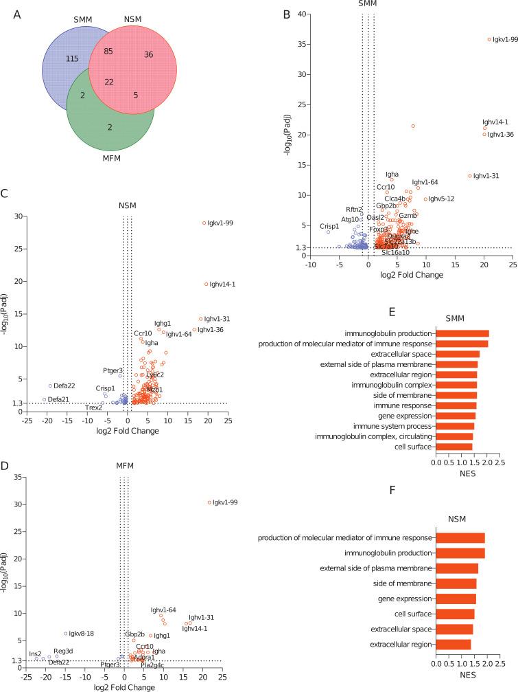 https://cdn.ncbi.nlm.nih.gov/pmc/blobs/fb17/11019842/1738326a1206/msystems.00294-24.f007.jpg