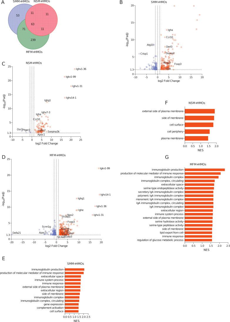https://cdn.ncbi.nlm.nih.gov/pmc/blobs/fb17/11019842/1c0ed7a03cb2/msystems.00294-24.f008.jpg