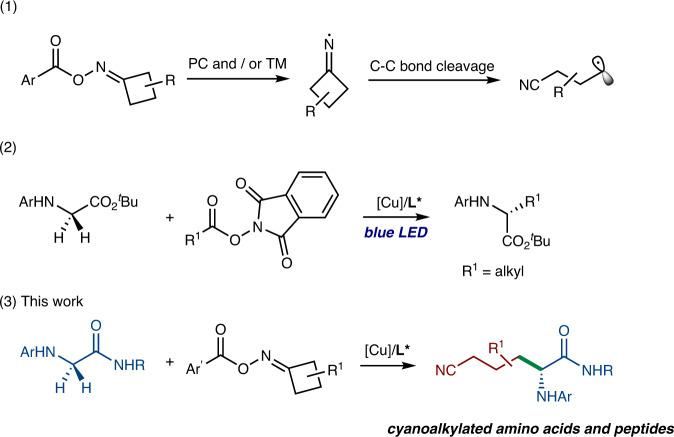 https://cdn.ncbi.nlm.nih.gov/pmc/blobs/fb1a/10244411/815004933890/41467_2023_38871_Fig1_HTML.jpg