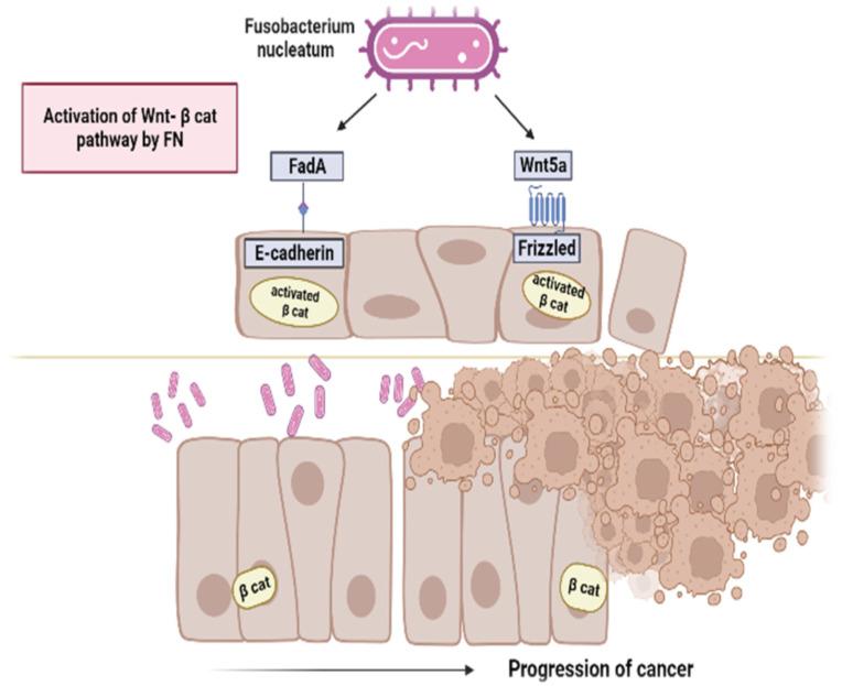 https://cdn.ncbi.nlm.nih.gov/pmc/blobs/fb1b/10537357/e5f3f5db707f/microorganisms-11-02358-g001.jpg