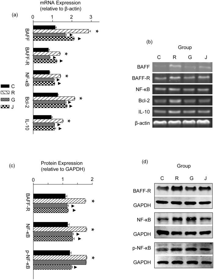https://cdn.ncbi.nlm.nih.gov/pmc/blobs/fb1b/4331425/fa76697211d2/pone.0118462.g001.jpg