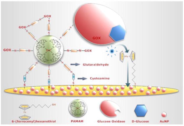 https://cdn.ncbi.nlm.nih.gov/pmc/blobs/fb1c/10296150/3596dddf95ad/biosensors-13-00622-g005.jpg