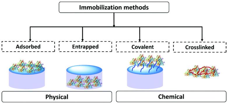 https://cdn.ncbi.nlm.nih.gov/pmc/blobs/fb1c/10296150/d09bdf0eb60e/biosensors-13-00622-g003.jpg