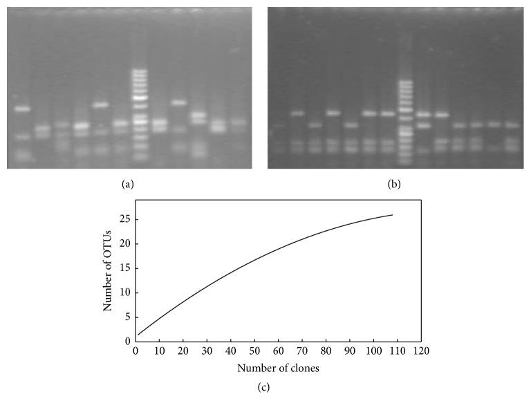 https://cdn.ncbi.nlm.nih.gov/pmc/blobs/fb1c/5128701/2a8b1abadccf/ARCHAEA2016-7459679.001.jpg