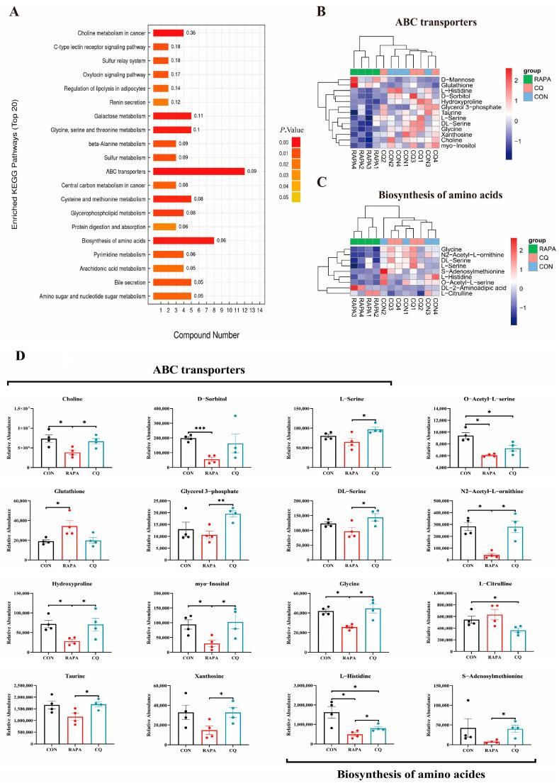 https://cdn.ncbi.nlm.nih.gov/pmc/blobs/fb1d/11360670/0427a3cb223c/vetsci-11-00333-g004.jpg