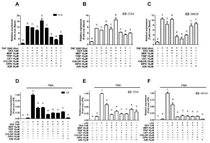 https://cdn.ncbi.nlm.nih.gov/pmc/blobs/fb1e/8617649/62d4eccdef74/cells-10-03026-g002.jpg