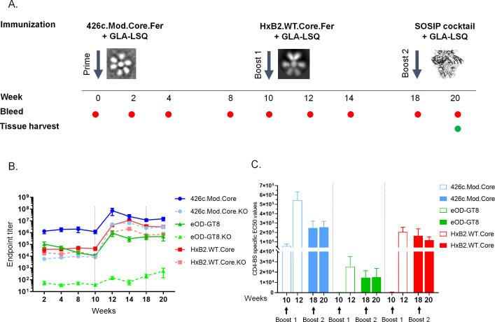https://cdn.ncbi.nlm.nih.gov/pmc/blobs/fb20/11495006/7a9d76d64f7a/jvi.00744-24.f001.jpg