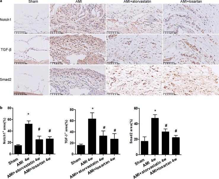 https://cdn.ncbi.nlm.nih.gov/pmc/blobs/fb20/12136607/711663abc06e/jvr-2025-0062-0003-542728_F07.jpg