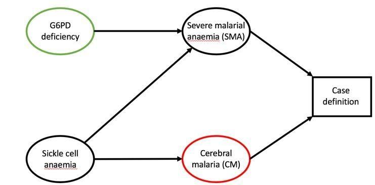 https://cdn.ncbi.nlm.nih.gov/pmc/blobs/fb21/6361583/8cb9d00ad6eb/elife-43154-resp-fig1.jpg