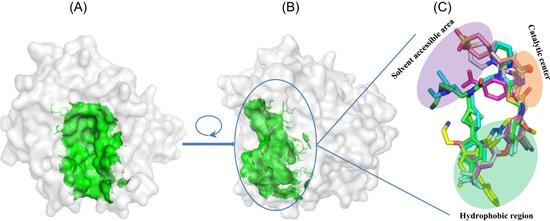 https://cdn.ncbi.nlm.nih.gov/pmc/blobs/fb21/6973114/493237bcfdc7/MED-40-79-g005.jpg