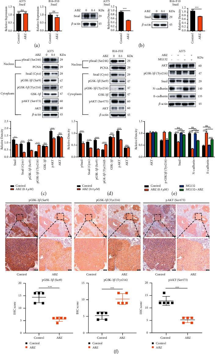 https://cdn.ncbi.nlm.nih.gov/pmc/blobs/fb21/8712124/2a3a08c13196/JO2021-4475192.004.jpg