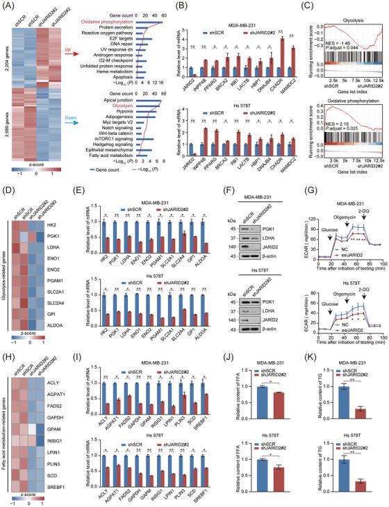 https://cdn.ncbi.nlm.nih.gov/pmc/blobs/fb24/10565380/19afeeb18bcb/CAC2-43-1117-g001.jpg