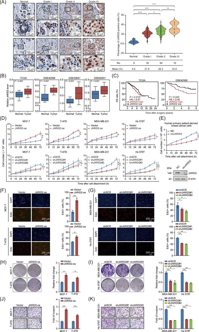 https://cdn.ncbi.nlm.nih.gov/pmc/blobs/fb24/10565380/1a942d629757/CAC2-43-1117-g008.jpg