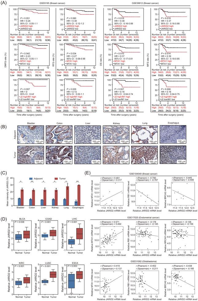 https://cdn.ncbi.nlm.nih.gov/pmc/blobs/fb24/10565380/5228d36a96a0/CAC2-43-1117-g007.jpg