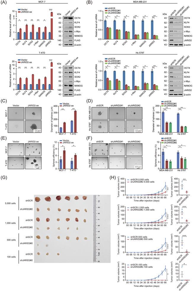 https://cdn.ncbi.nlm.nih.gov/pmc/blobs/fb24/10565380/81f35b8874b6/CAC2-43-1117-g006.jpg