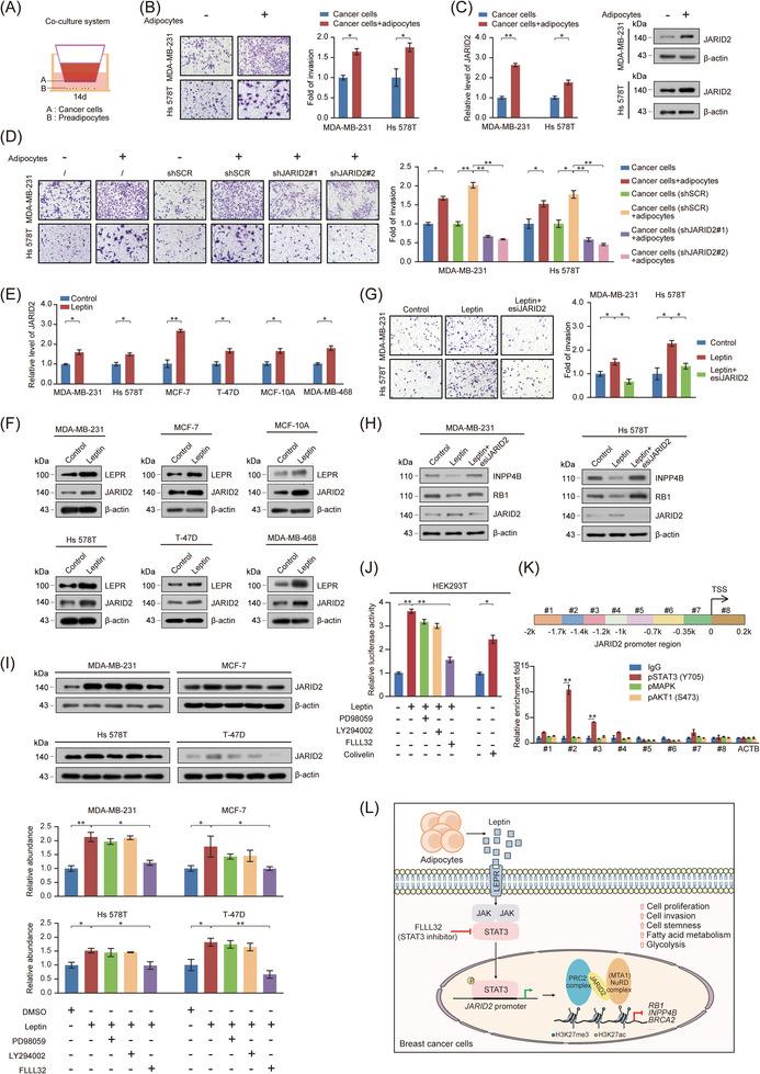 https://cdn.ncbi.nlm.nih.gov/pmc/blobs/fb24/10565380/d9b79cfad6e9/CAC2-43-1117-g003.jpg