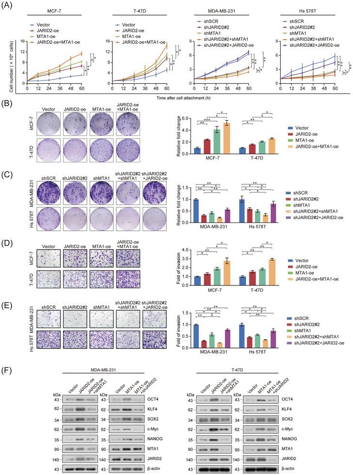 https://cdn.ncbi.nlm.nih.gov/pmc/blobs/fb24/10565380/dcdec9b2d769/CAC2-43-1117-g004.jpg