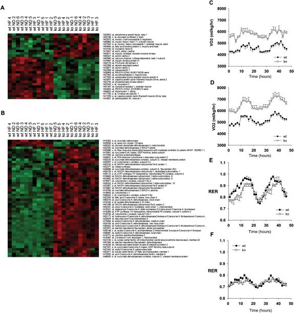 https://cdn.ncbi.nlm.nih.gov/pmc/blobs/fb24/2680991/9d5b0cc53b78/gr3.jpg