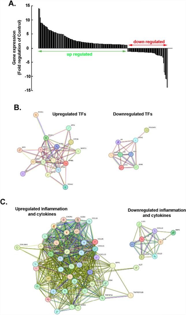 https://cdn.ncbi.nlm.nih.gov/pmc/blobs/fb25/12089583/4b5bff3cdc1c/11671_2025_4257_Fig4_HTML.jpg